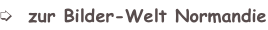 shapeimage_2_link_0
