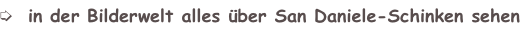 shapeimage_5_link_0