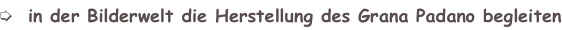 shapeimage_2_link_0