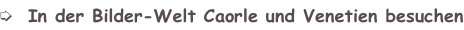 shapeimage_4_link_0